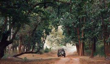 jim_corbett_tour_packages_from_delhi jim_corbett_tour_packages_from_delhi